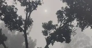 পঞ্চগড়ে কমছে তাপমাত্রা; বাড়ছে শীতের অনুভূতি